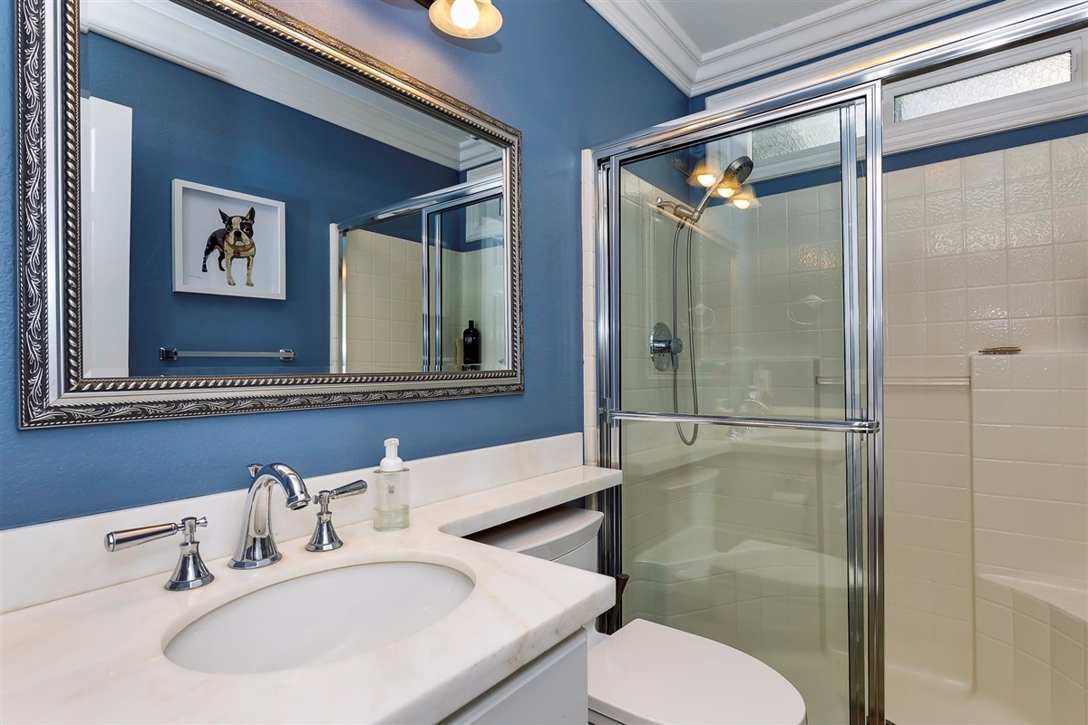 Spectacularly Renovated VIEW Home