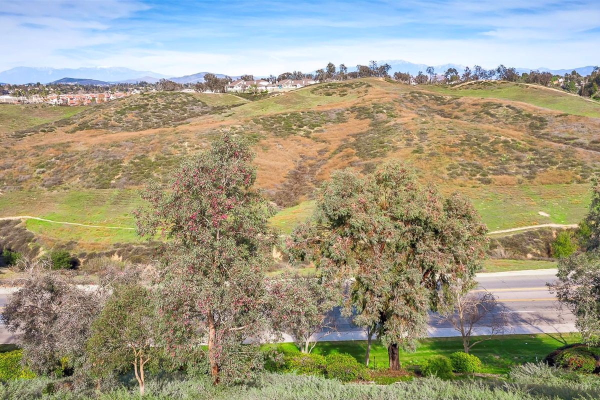 Spectacularly Renovated VIEW Home