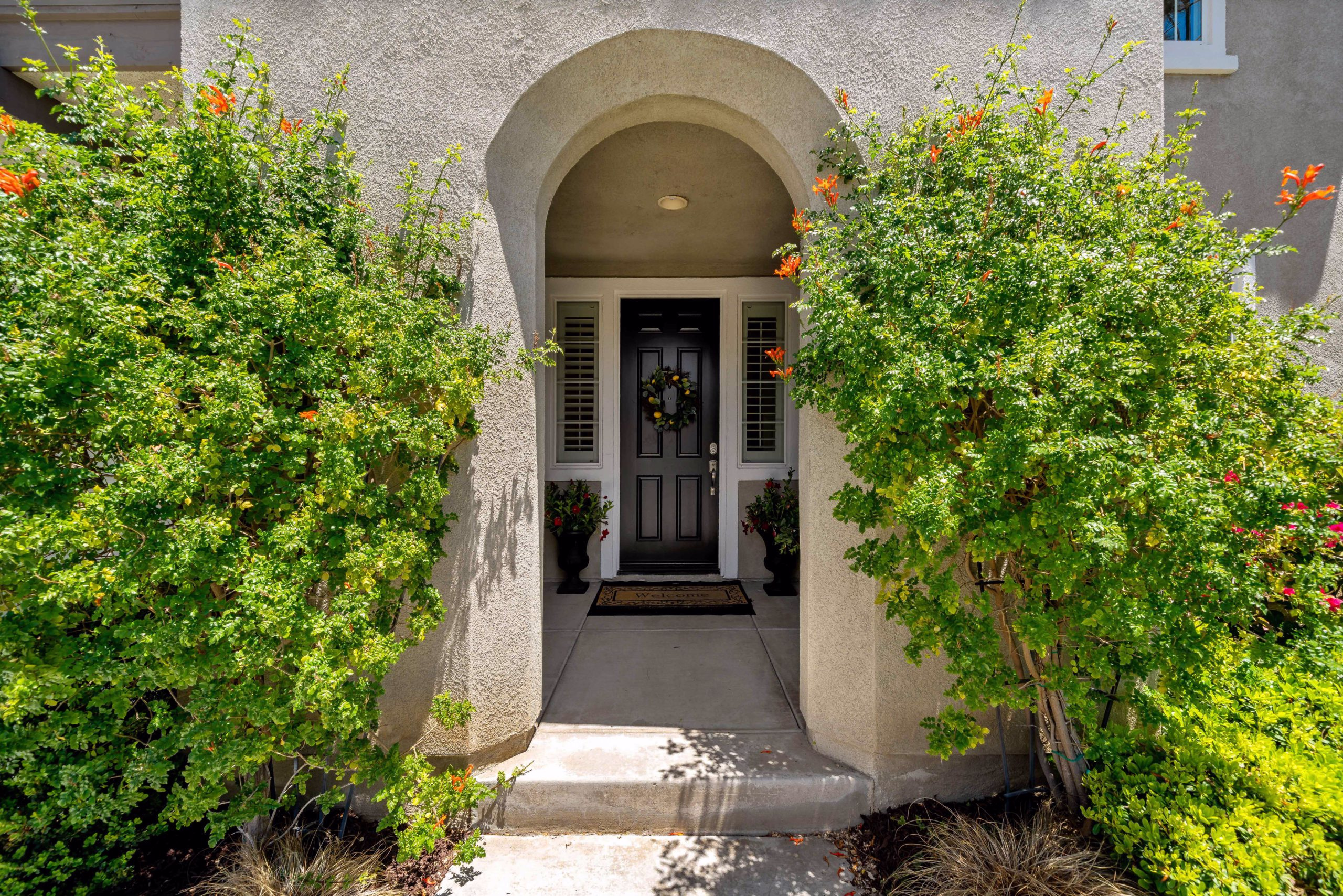 the WOW factor home