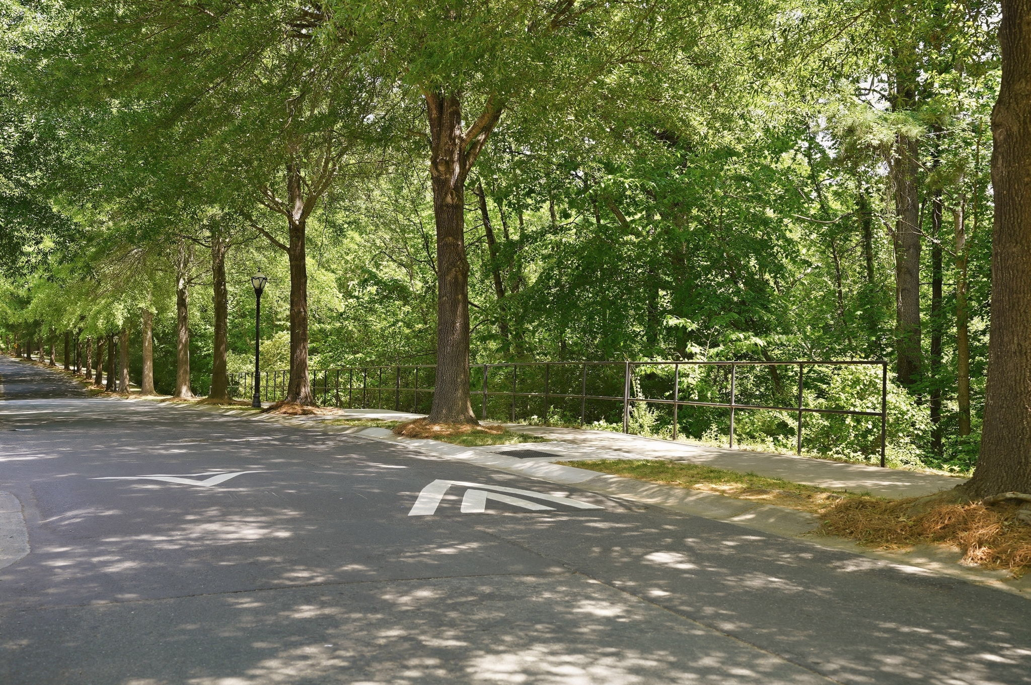 Beautiful Townhome in the Heart of Waxhaw