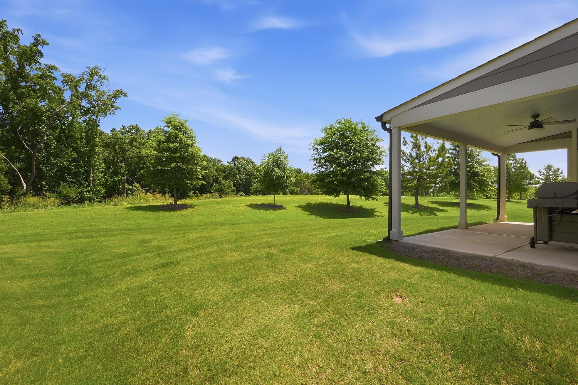 Carolina Orchards home for sale | Fort Mill
